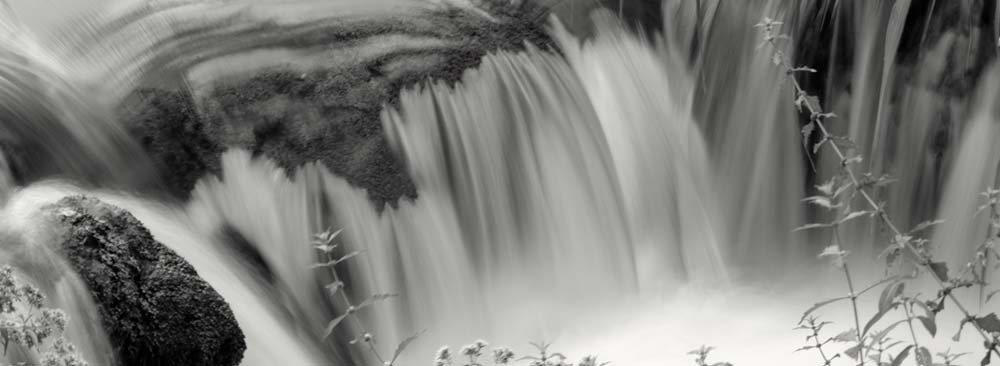 Die Naturheilkunde macht sich das Prinzip zunutze, dass jeder Mensch von Natur aus Selbstheilungskräfte hat, die ihm helfen, Krankheiten zu überwinden - Naturbild als Symbol für die Heilkunde